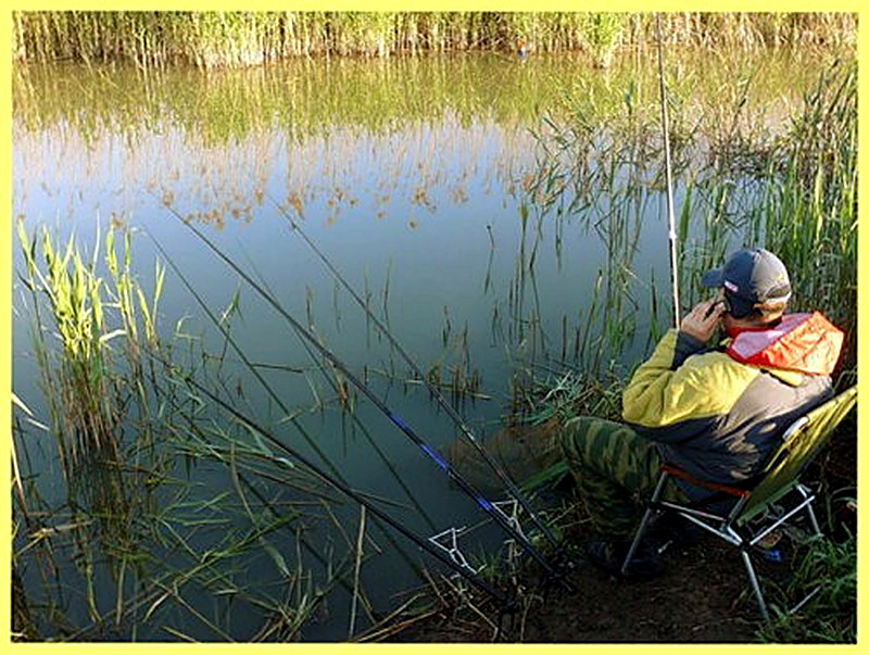 Ловля рыбы маховыми удилищами