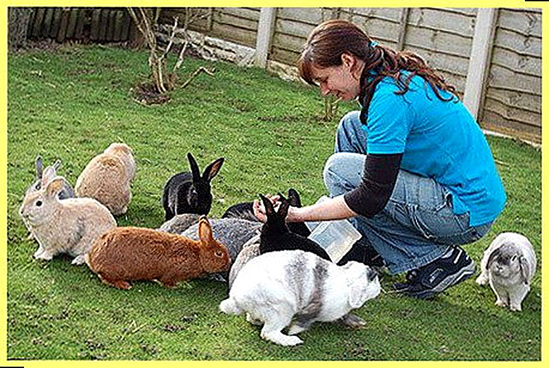 Как заработать в сельской местности