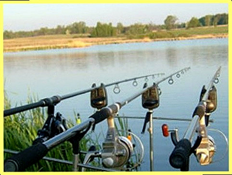 виды удочек для летней рыбалки