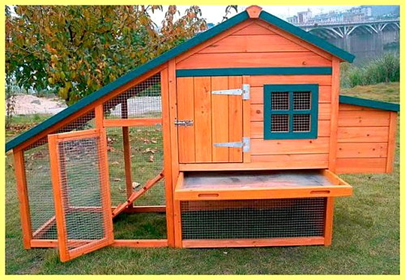 Как сделать курятник на даче своими руками