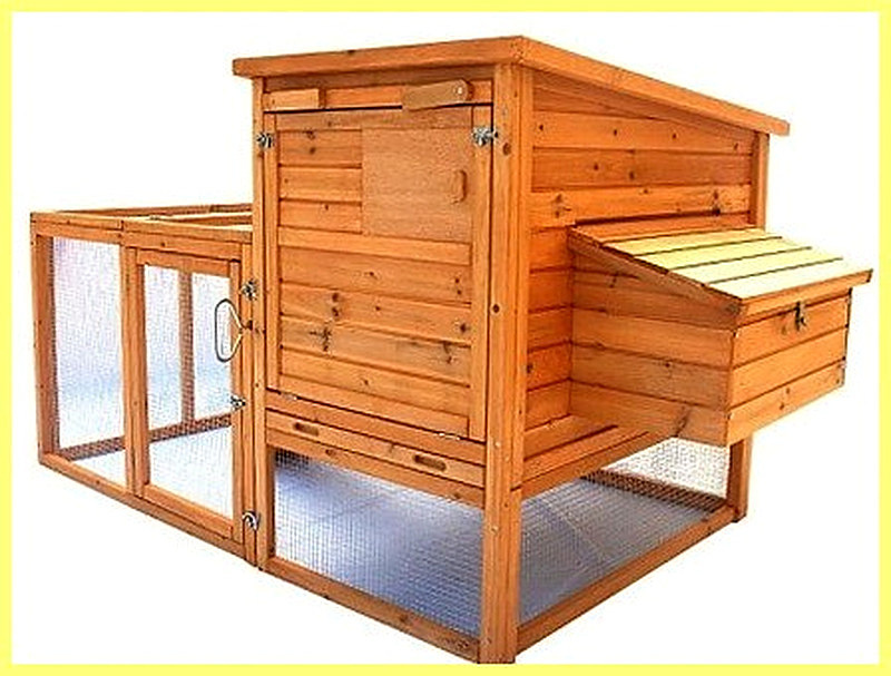 Как сделать курятник на даче своими руками