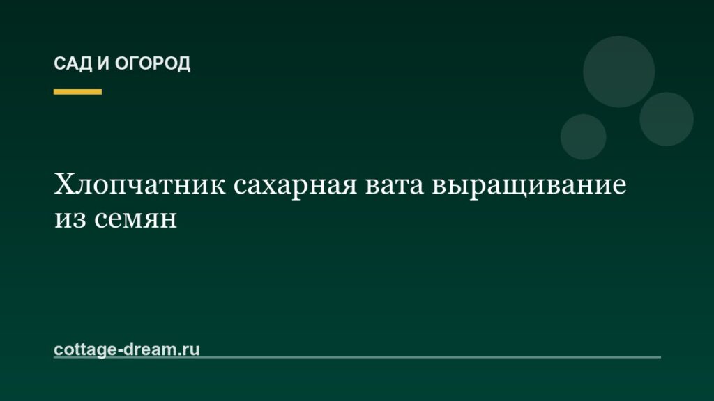 Хлопчатник сахарная вата выращивание из семян