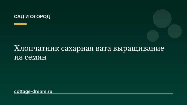 Хлопчатник сахарная вата выращивание из семян
