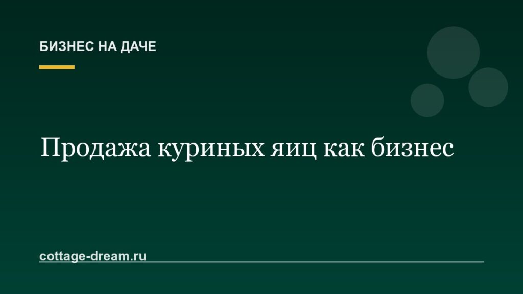 Продажа куриных яиц как бизнес