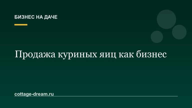 Продажа куриных яиц как бизнес