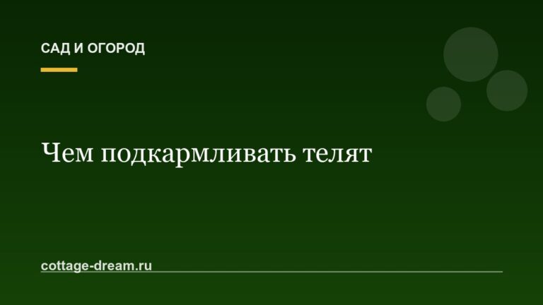 Чем подкармливать телят