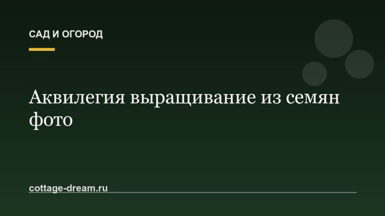 Аквилегия выращивание из семян фото