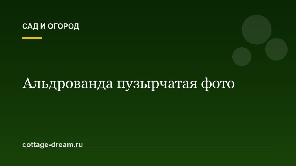 Альдрованда пузырчатая фото