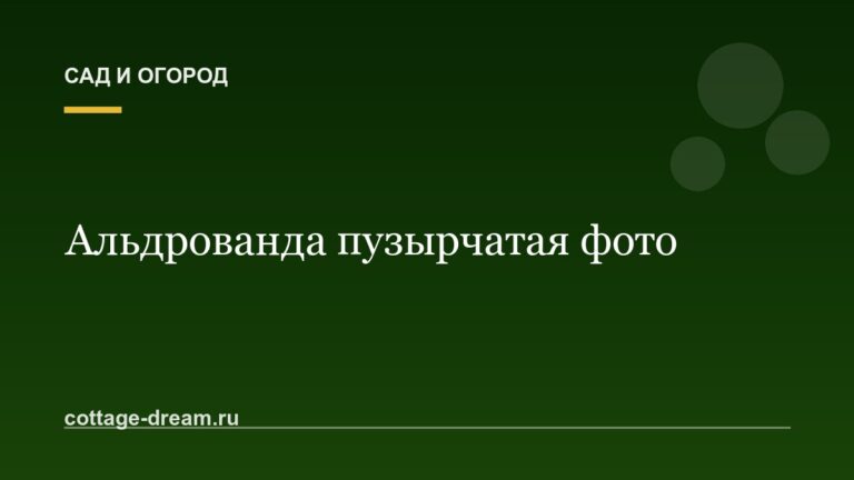 Альдрованда пузырчатая фото