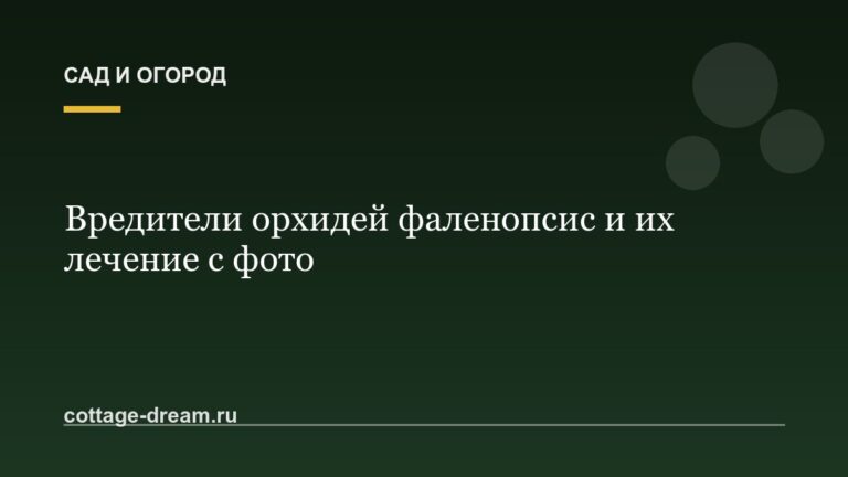 Вредители орхидей фаленопсис и их лечение с фото