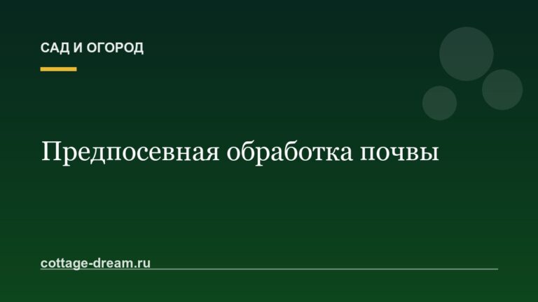 Предпосевная обработка почвы