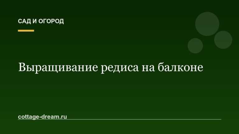 Выращивание редиса на балконе