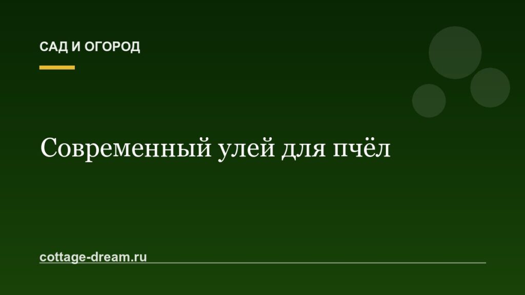 Современный улей для пчёл