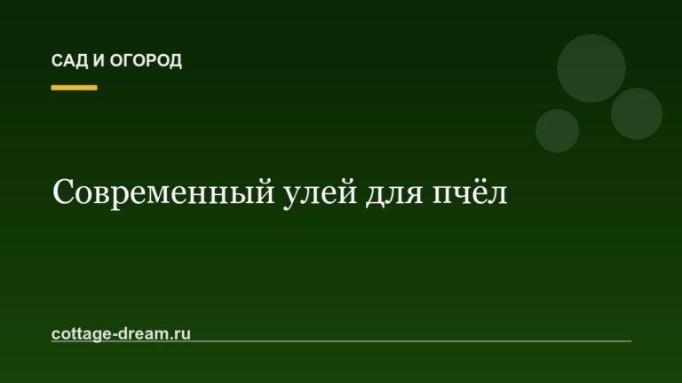 Современный улей для пчёл