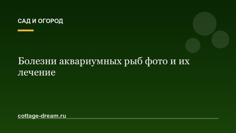 Болезни аквариумных рыб фото и их лечение