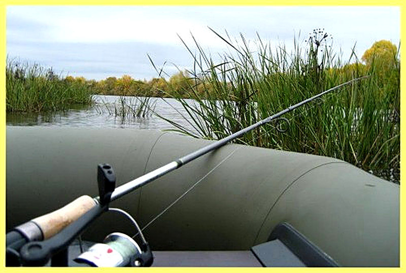 Как правильно выбрать длину удилища