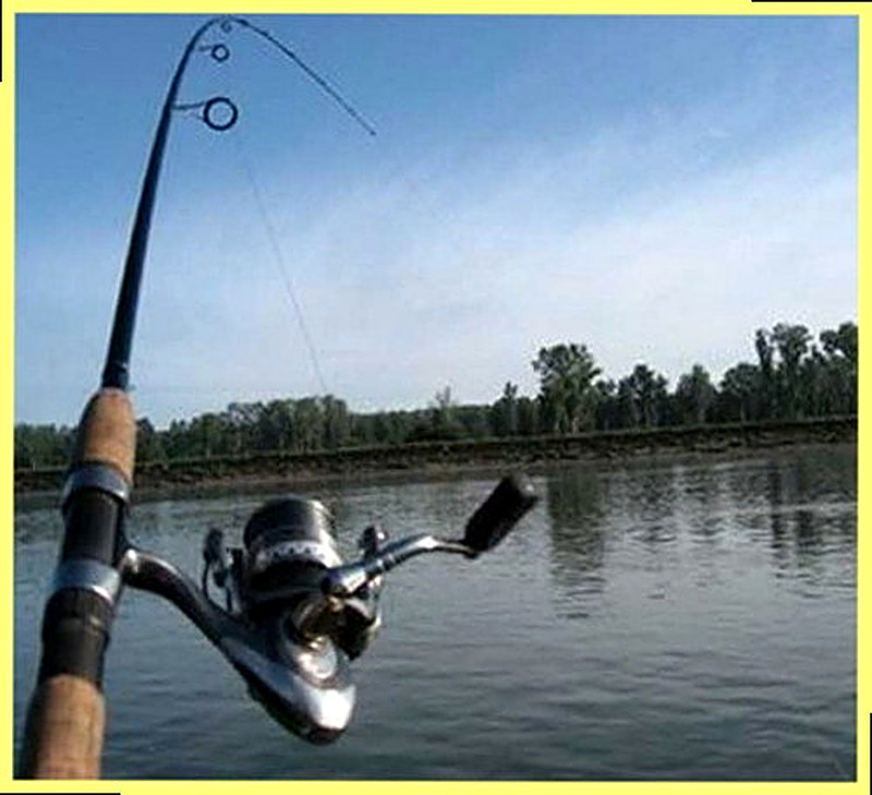 Как выбрать удилище для поплавочной удочки