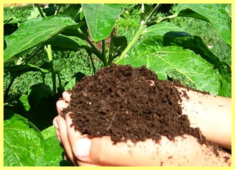 Торф как удобрение