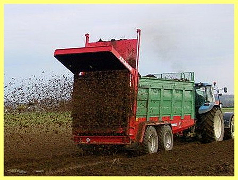 Как вносить навоз в почву