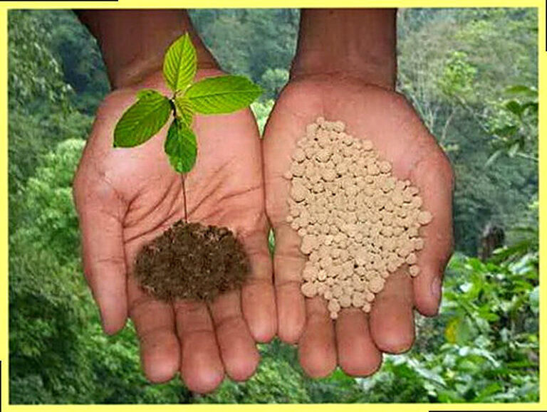 Виды удобрений и их классификация