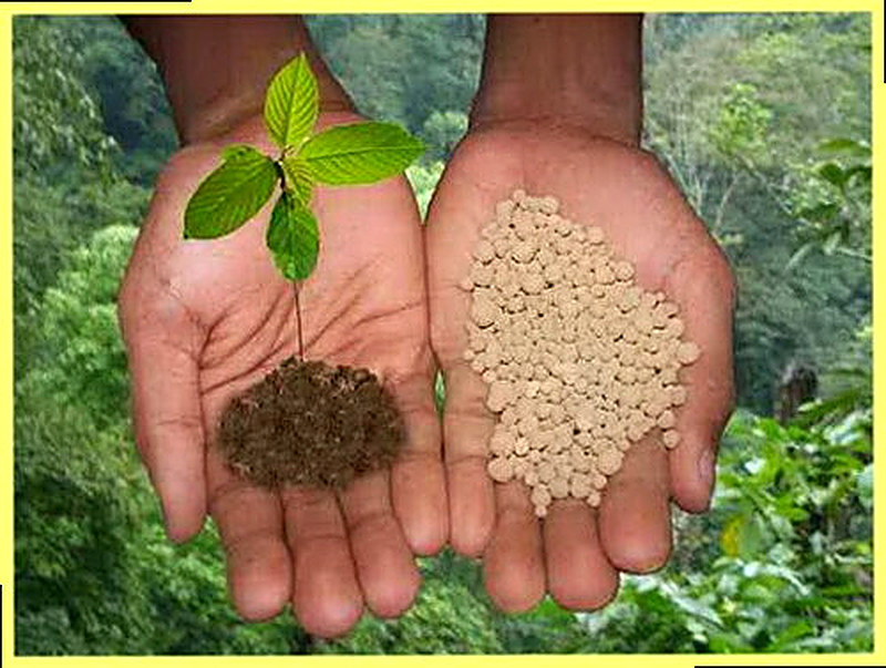 Виды удобрений и их классификация