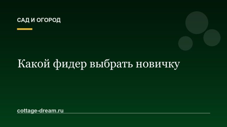 Какой фидер выбрать новичку