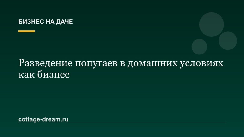 Разведение попугаев в домашних условиях как бизнес