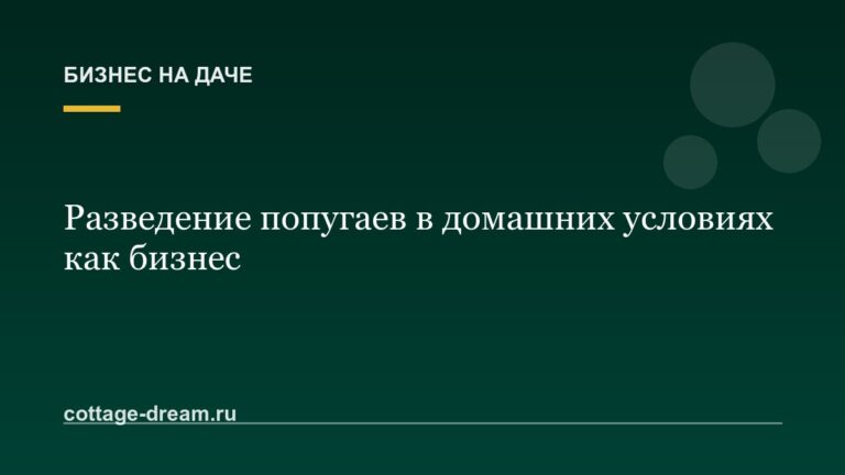 Разведение попугаев в домашних условиях как бизнес