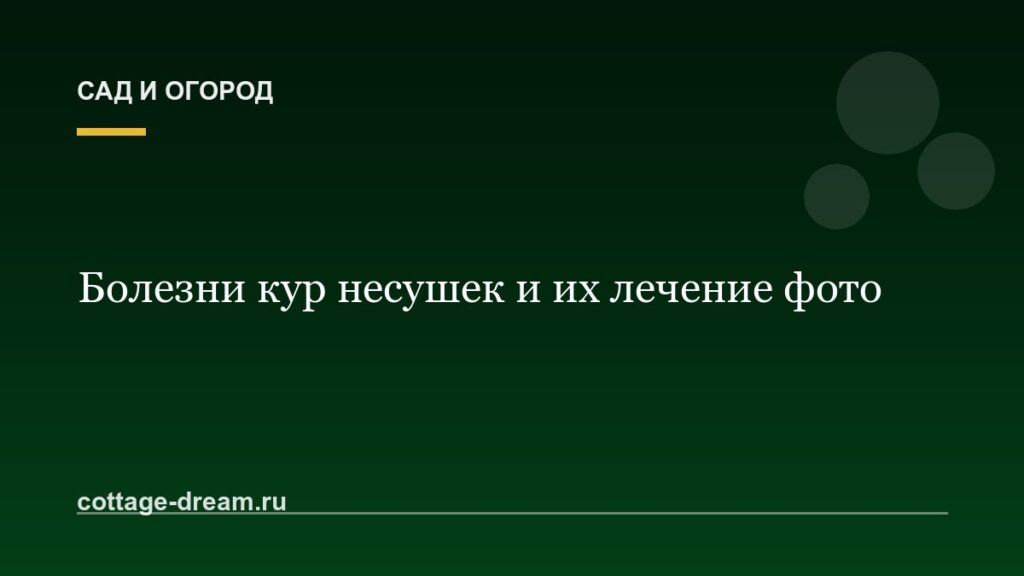 Болезни кур несушек и их лечение фото