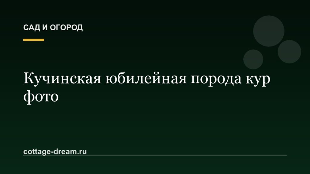 Кучинская юбилейная порода кур фото