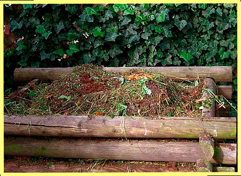 Компост как удобрение