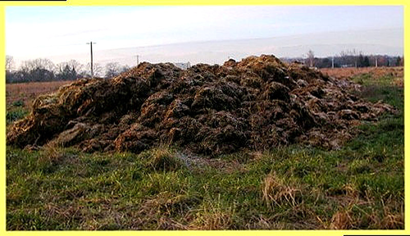 Состав навоза