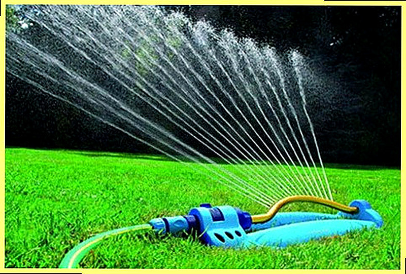 Рекомендации по уходу за газоном из мятлика