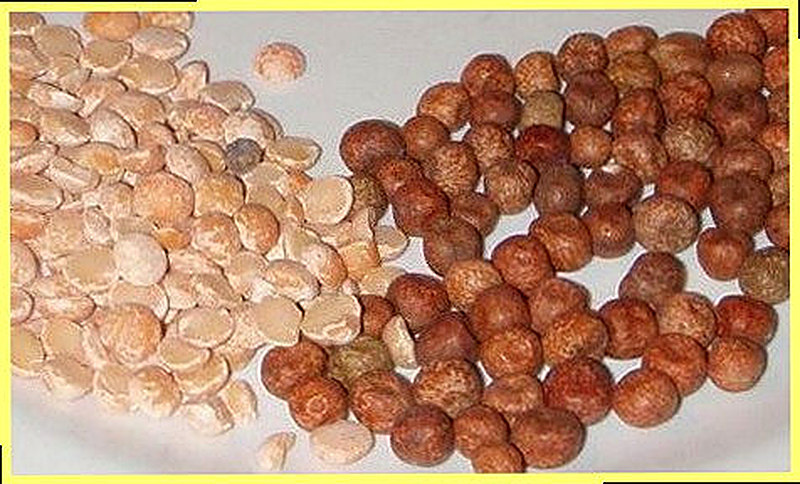 Серый горох