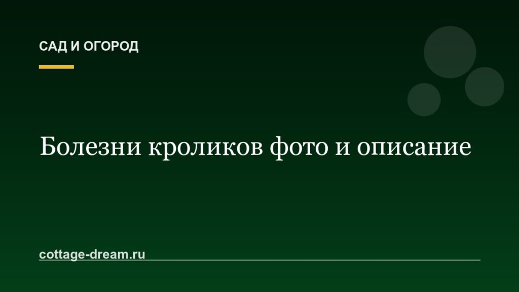 Болезни кроликов фото и описание