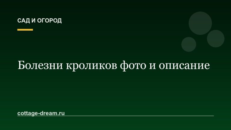 Болезни кроликов фото и описание