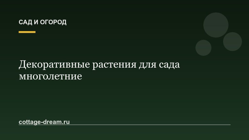 Декоративные растения для сада многолетние: фото и описание
