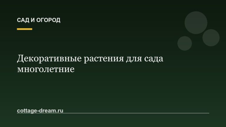 Декоративные растения для сада многолетние: фото и описание