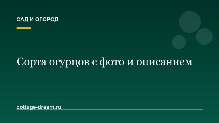 Сорта огурцов с фото и описанием
