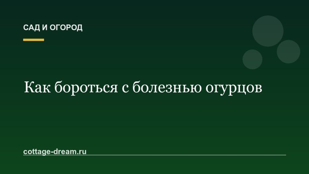 Как бороться с болезнью огурцов: описание и фото