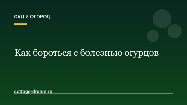 Как бороться с болезнью огурцов: описание и фото