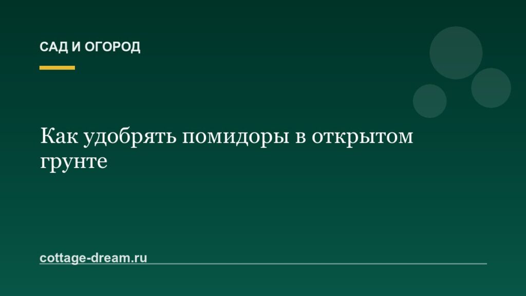 Как удобрять помидоры в открытом грунте: дрожжами
