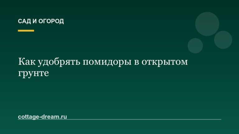 Как удобрять помидоры в открытом грунте: дрожжами
