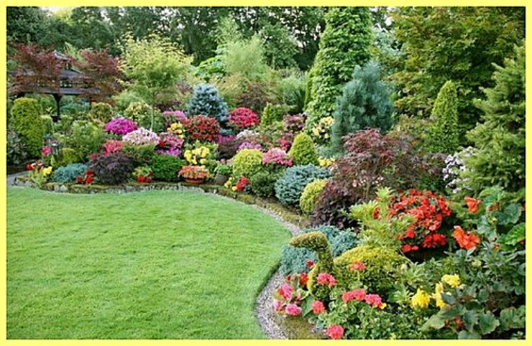 Декоративные растения для сада многолетние