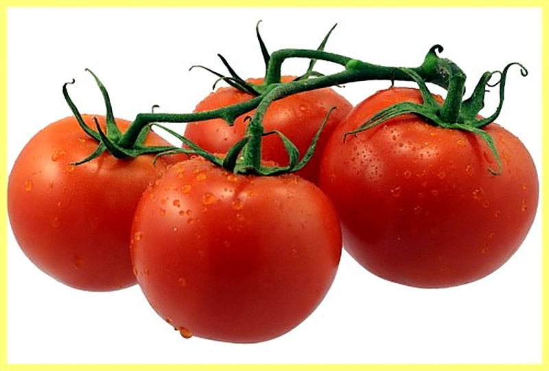 Польза дрожжей в огороде