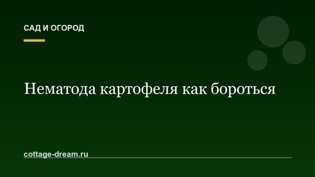 Нематода картофеля как бороться: фото