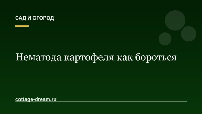 Нематода картофеля как бороться: фото