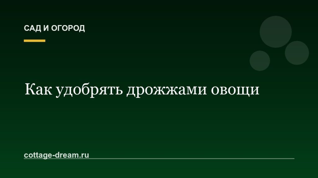 Как удобрять дрожжами овощи: рецепты приготовления