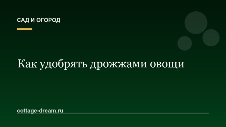 Как удобрять дрожжами овощи: рецепты приготовления