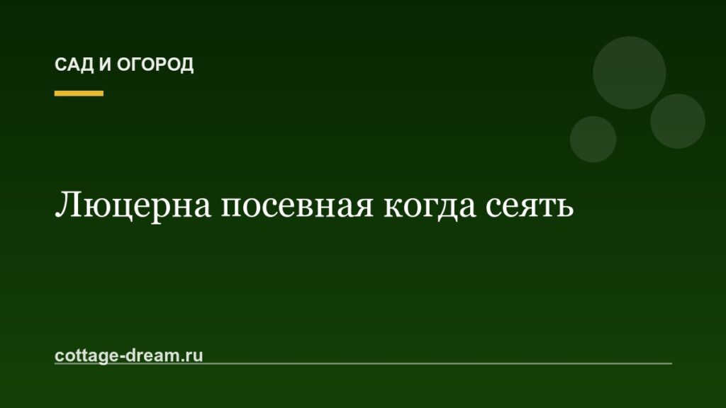 Люцерна посевная когда сеять
